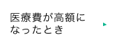 医療費が高額になったとき